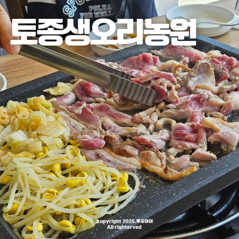 토종생오리농원 이미지