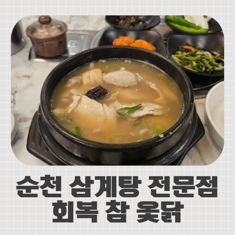 회복참옻닭 이미지
