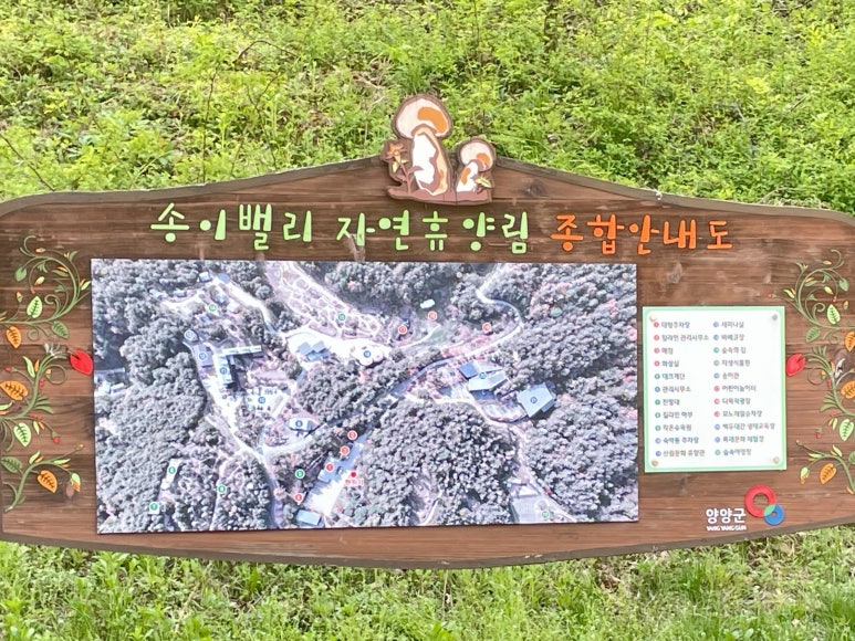 레포밸리 이미지