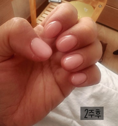 네일인트 이미지