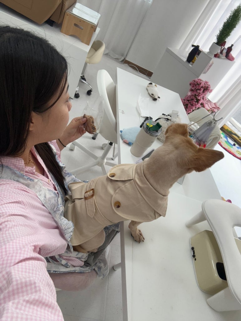 루미츄네일 이미지