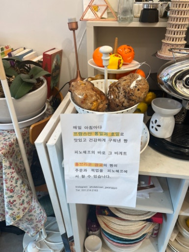 다피노쉐프 이미지