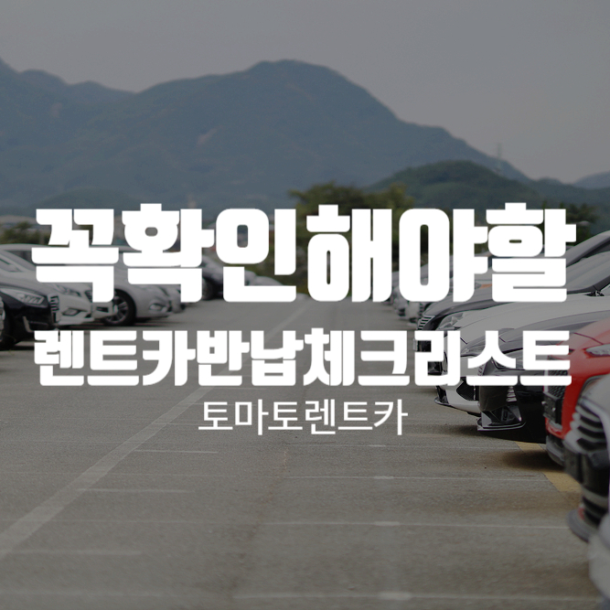카체크 이미지
