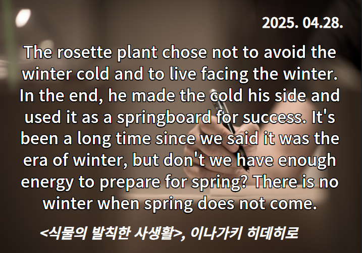 로제트리 이미지