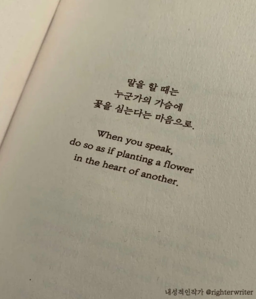 커핀테라 이미지