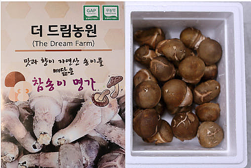 더드림농원 이미지