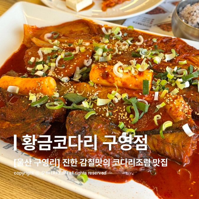 황금코다리 구영점 이미지
