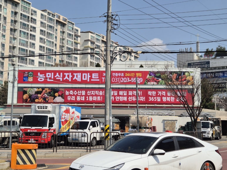키위디자인광고 이미지