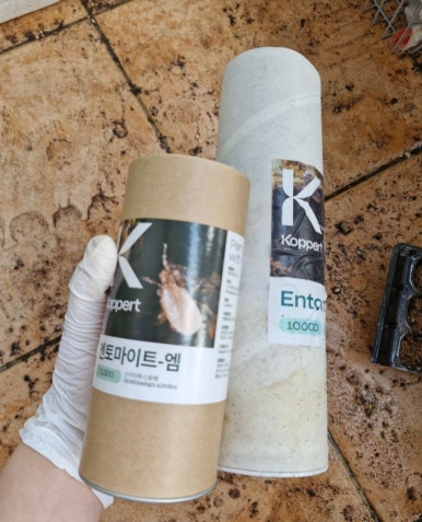 엠퍼트 이미지