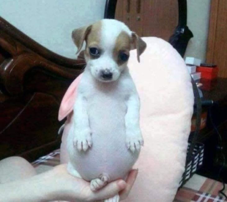 밝히는주 이미지