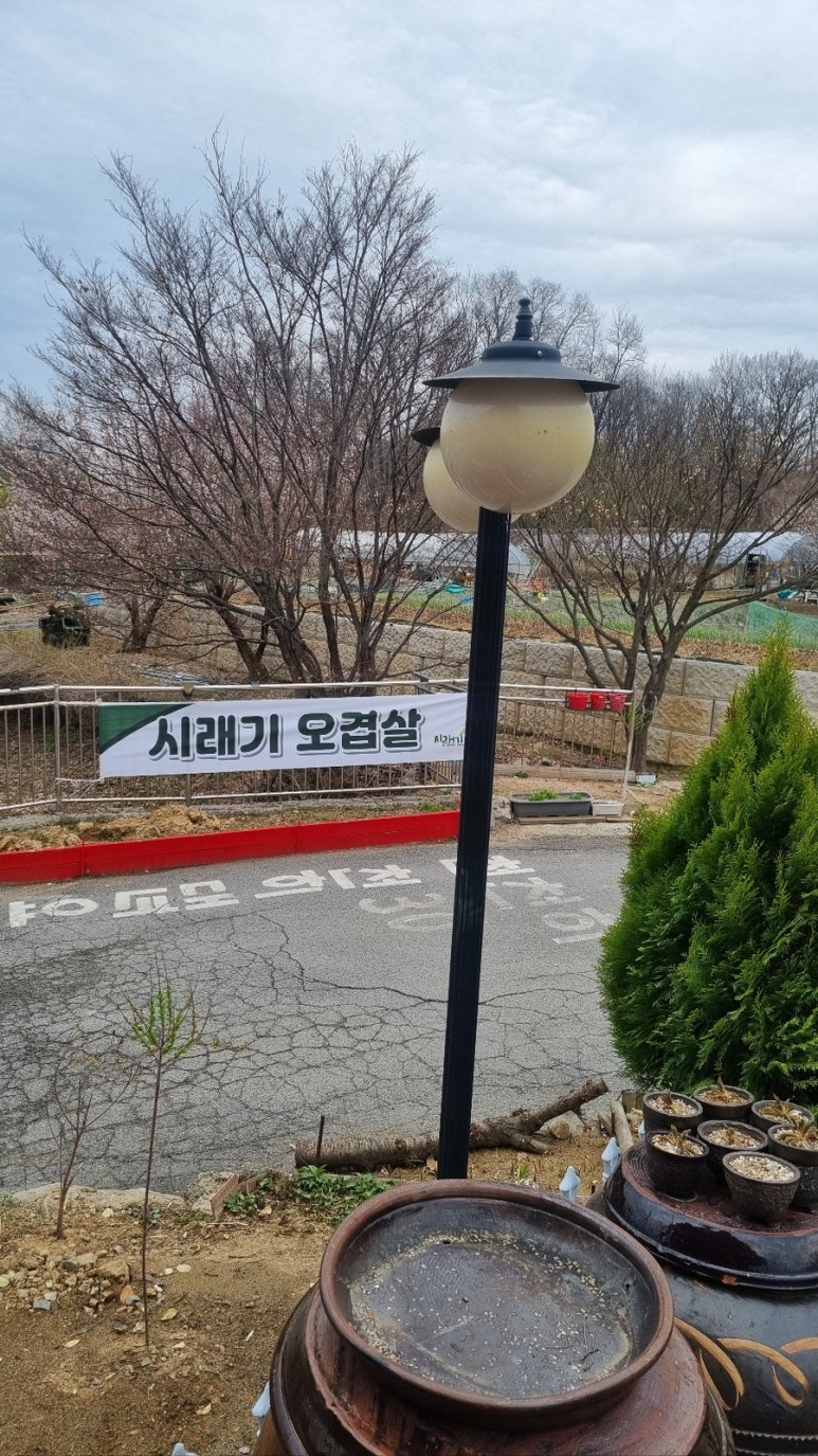 반월맛집 이미지