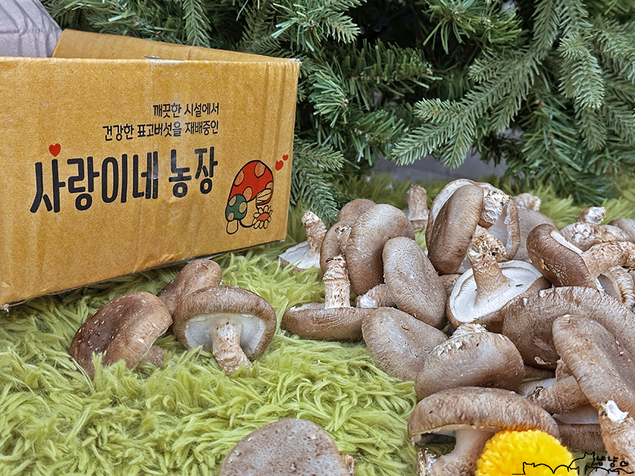 사랑이네반찬 이미지