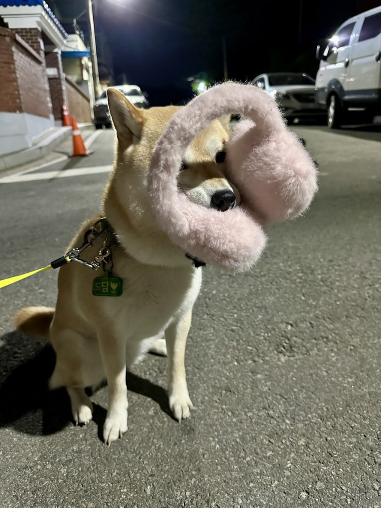 도다미 이미지