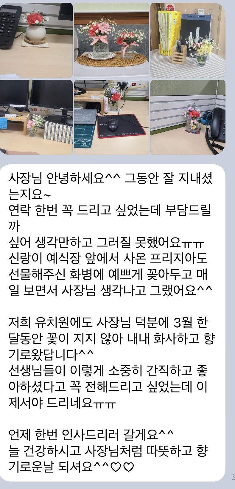 여리들 이미지