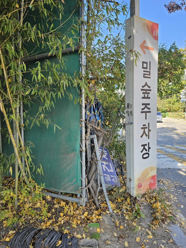 과천칼국수 이미지