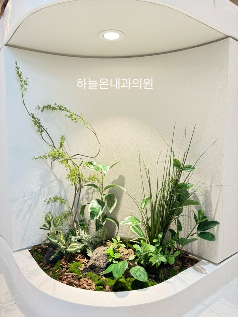 하늘내과의원 이미지