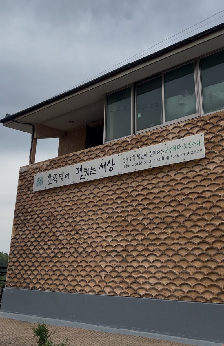 초록잎이펼치는세상티하우스보성차밭점 이미지