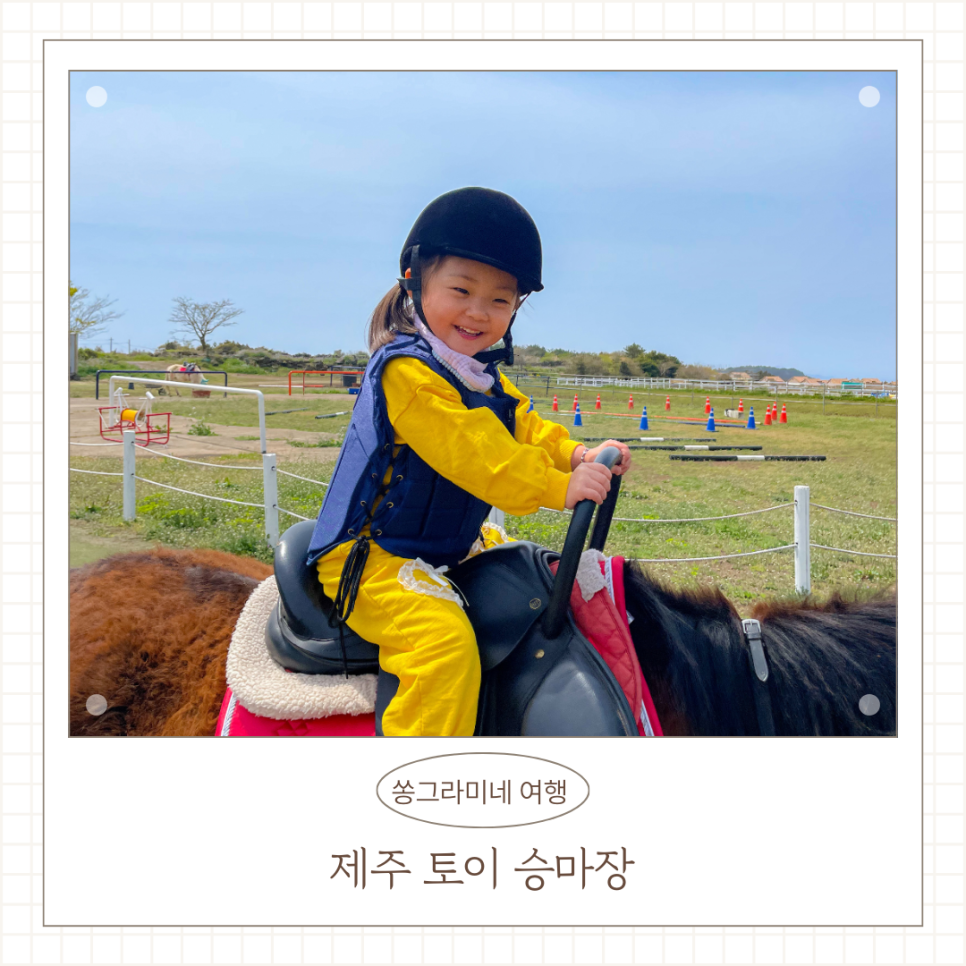 제주토이승마장 이미지