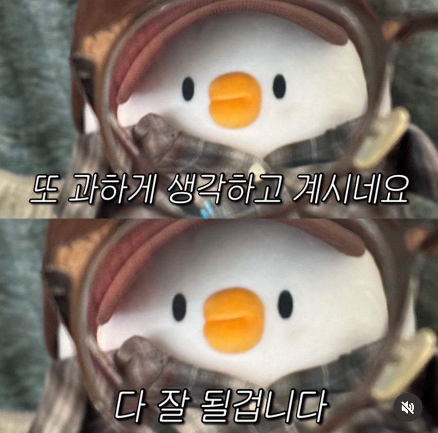 엘앤제이왁싱엔레푸스 이미지