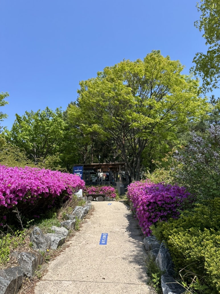 춘추투어 이미지