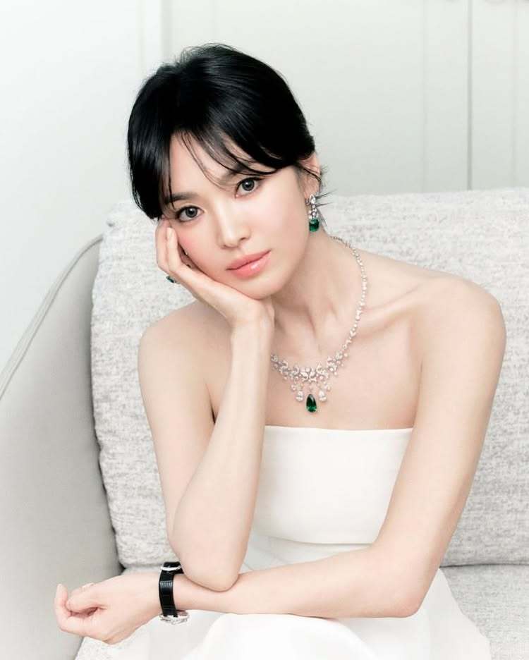 비컷 이미지