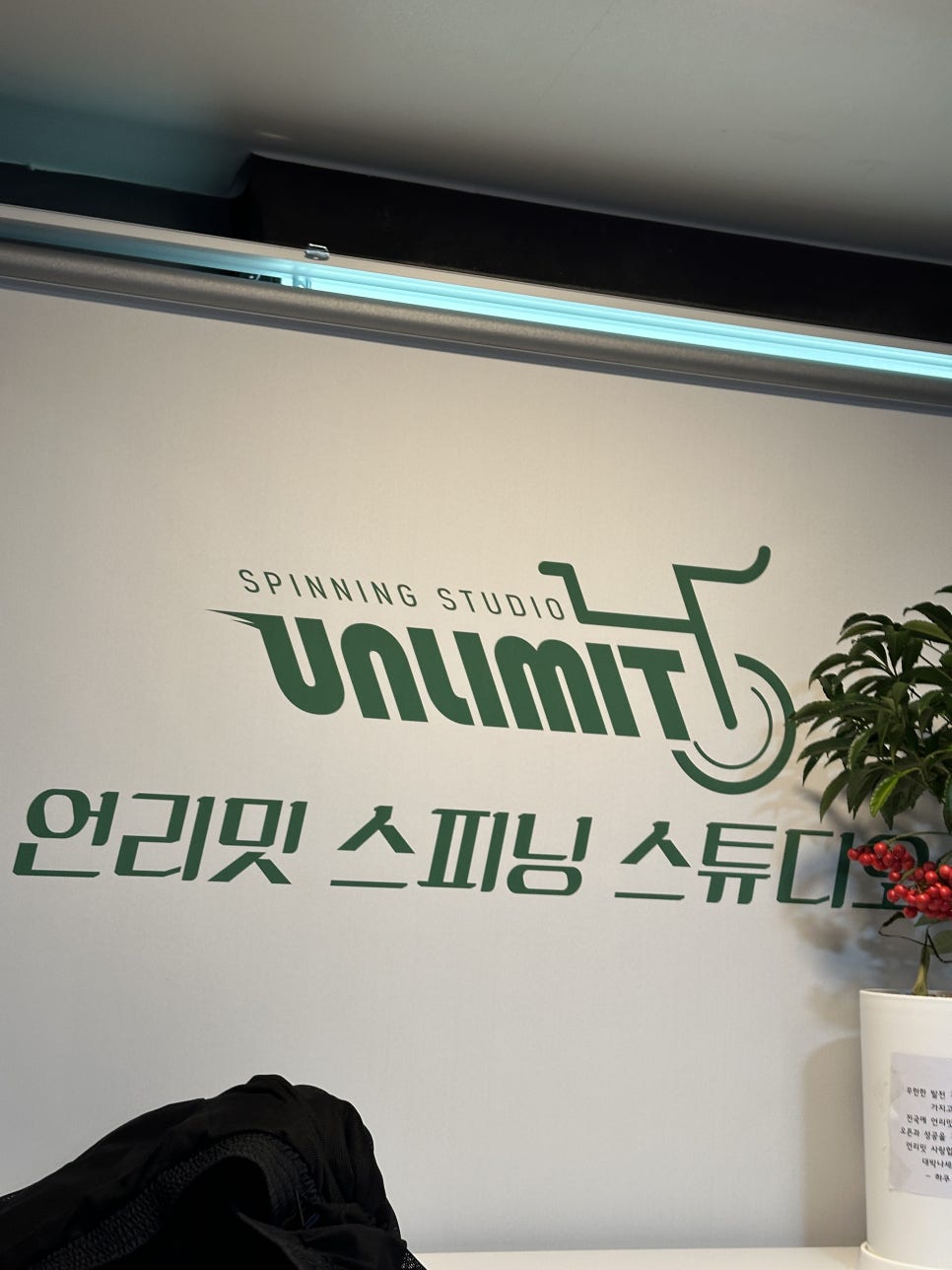 365스피닝 이미지