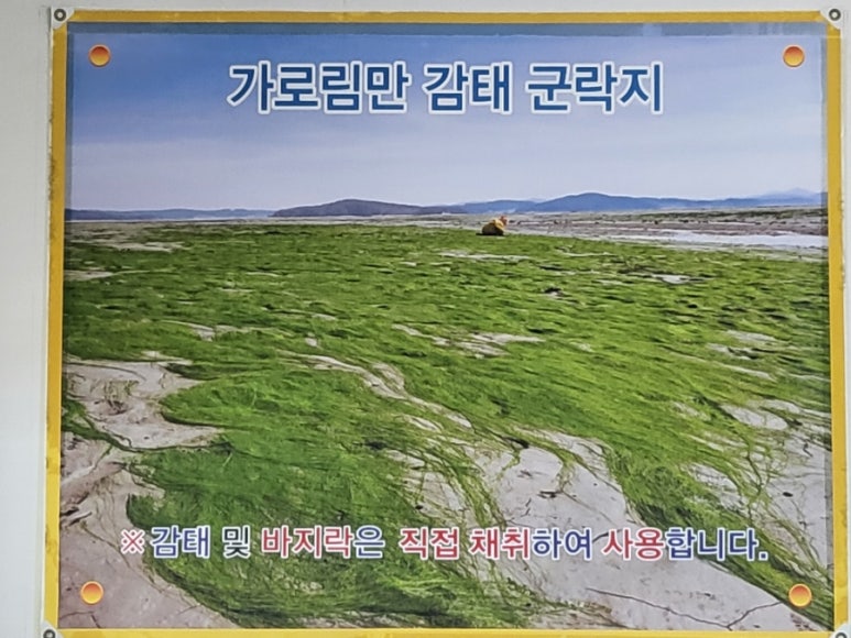 선창감태칼국수 이미지