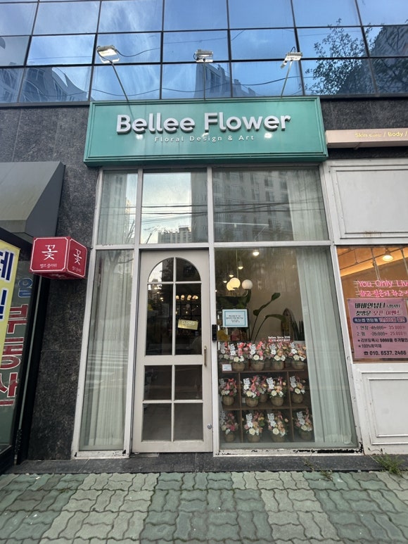 벨르플라워 이미지