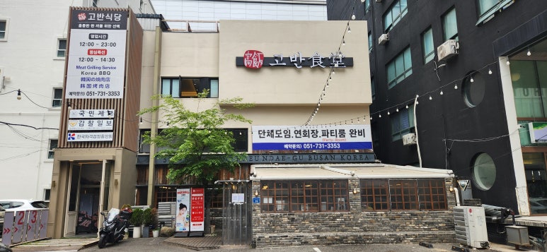 고반 이미지