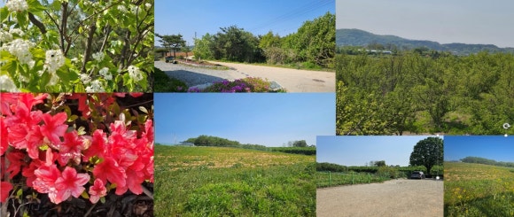 은혜환경주 이미지