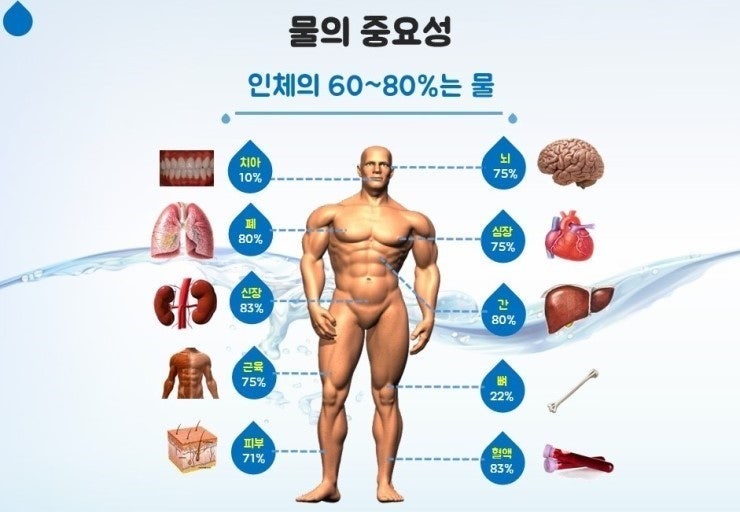 블루웰 이미지