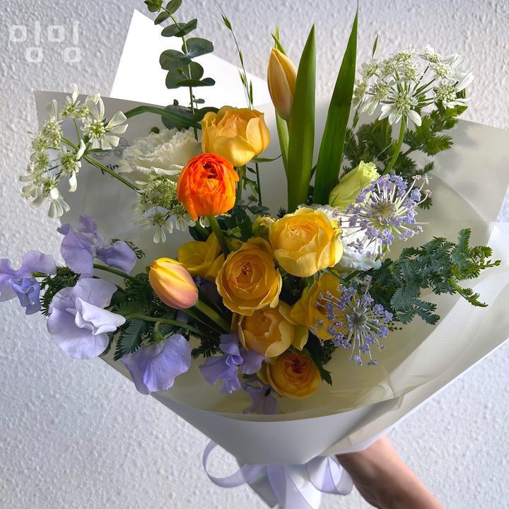 밈밈 이미지