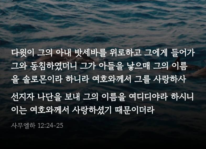 여디디야 이미지