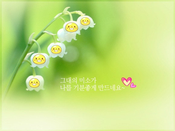 뜰안 이미지