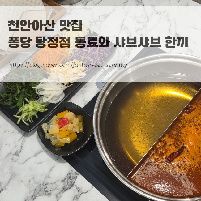퐁당 탕정점 이미지