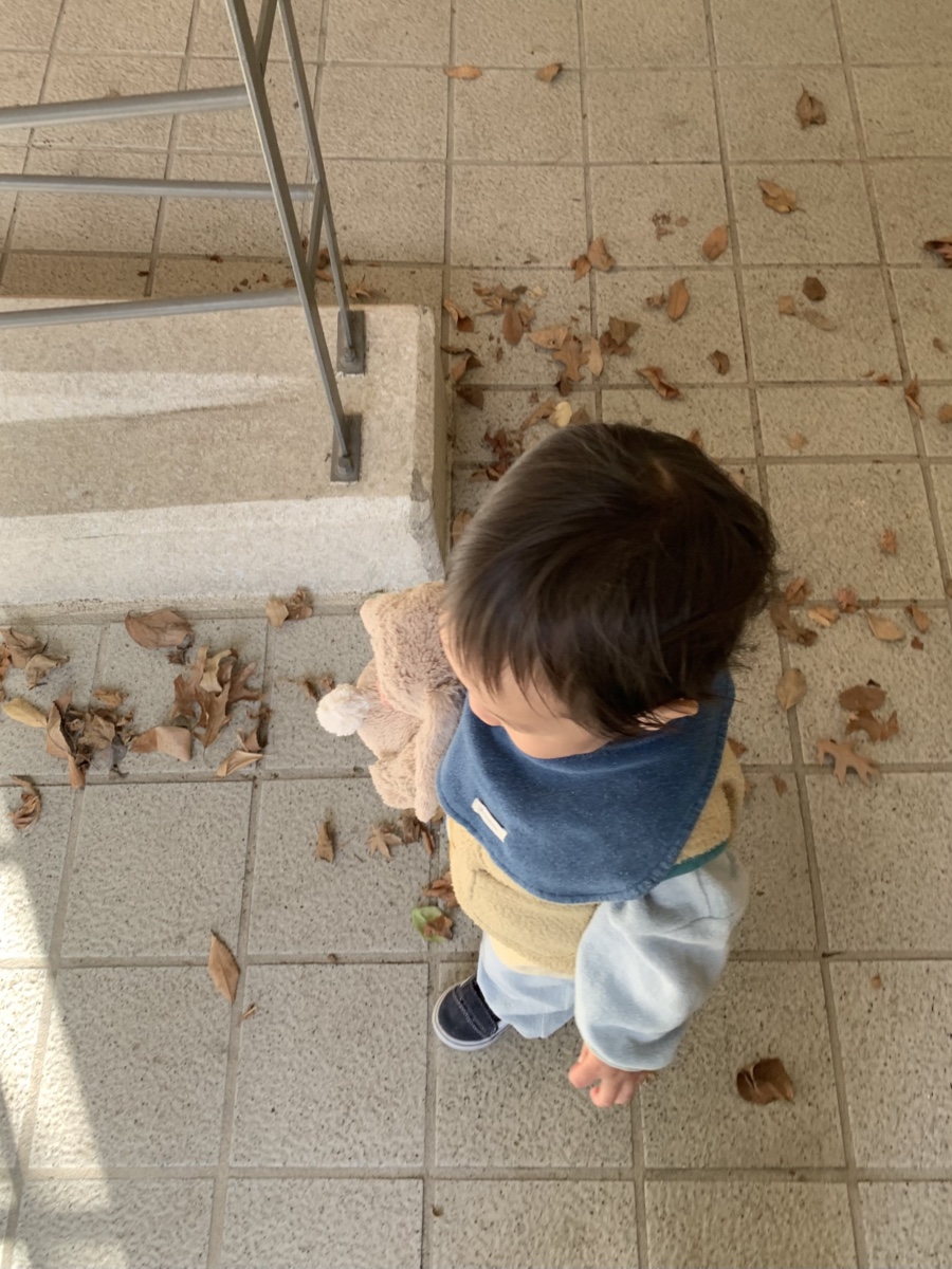 곰모닝하우스 이미지