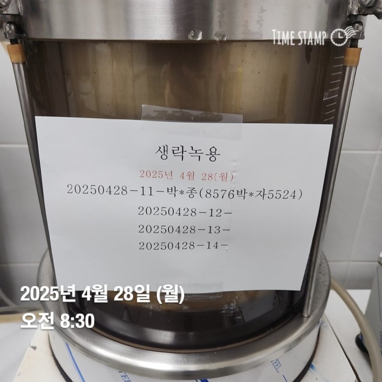 박*자 이미지