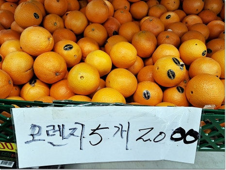 할인마트보물창고 이미지