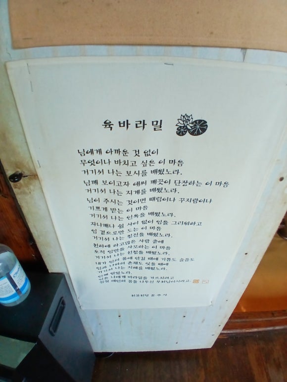 새싹존크린센터 이미지