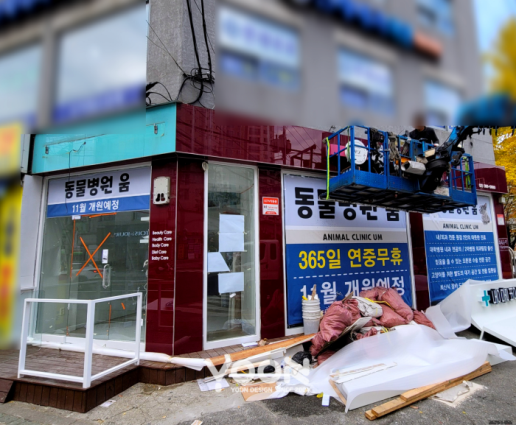 윤디자인 이미지