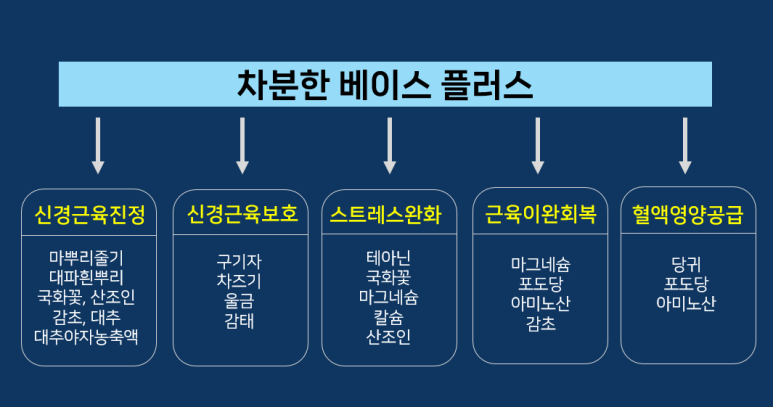 씨너지플러스 이미지