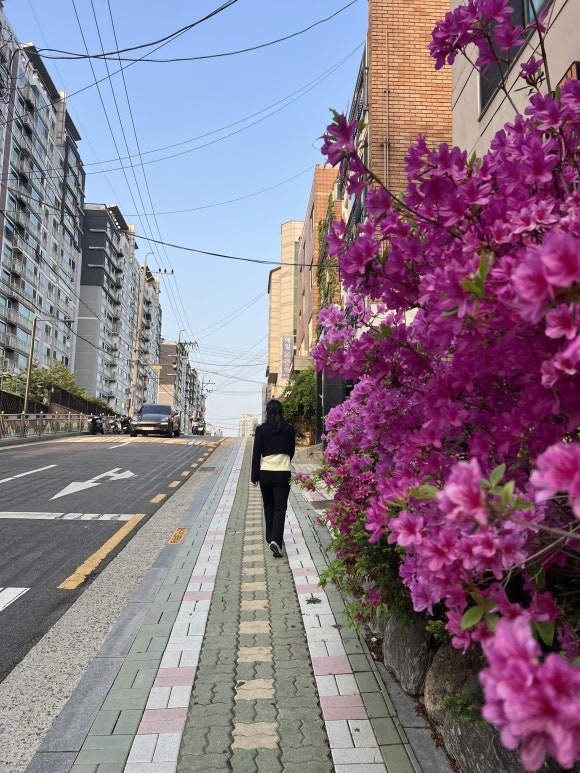 트헝뜨 이미지