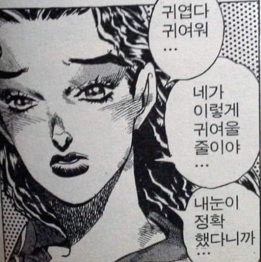 로아스시 이미지