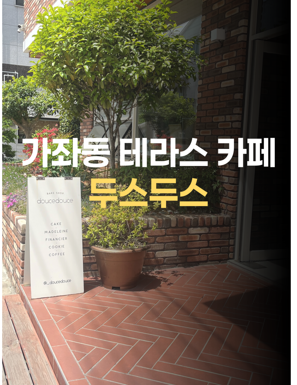 두스두스 이미지