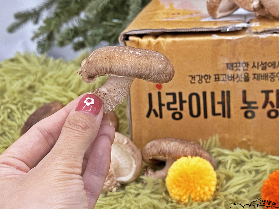 사랑이네반찬 이미지