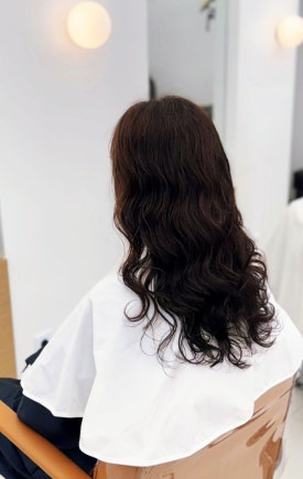 파슈헤어 이미지