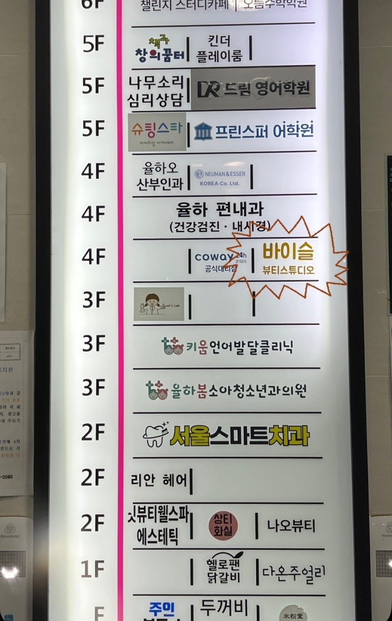 바이슬 이미지