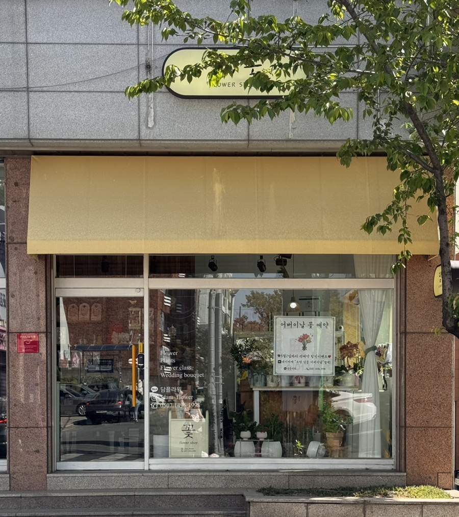담꽃 이미지