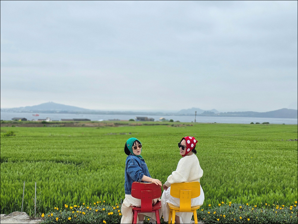 소미네일 이미지