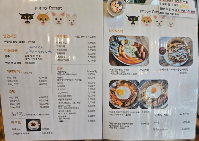 퍼피포레스트 이미지